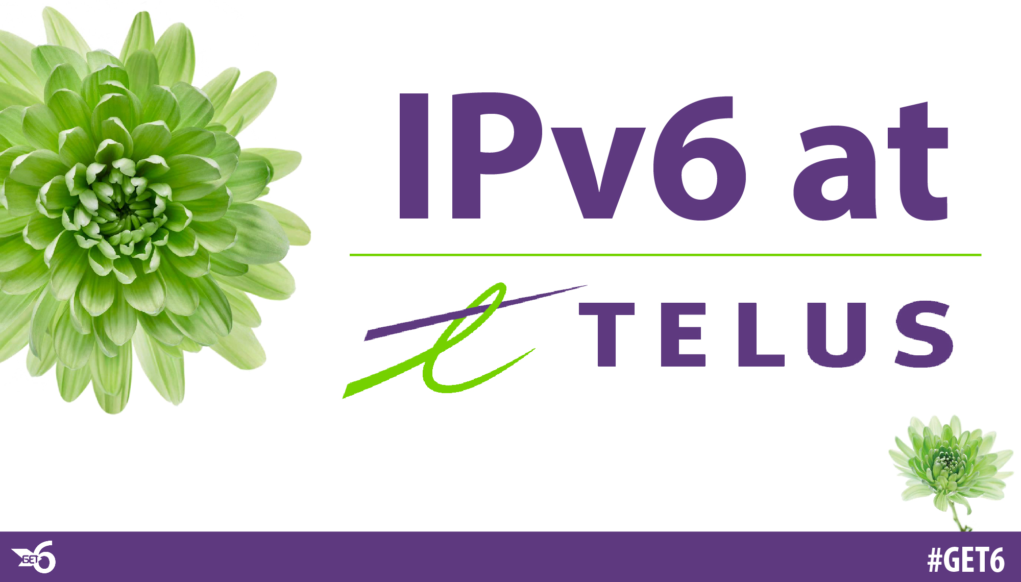 IPv6 Case Studies